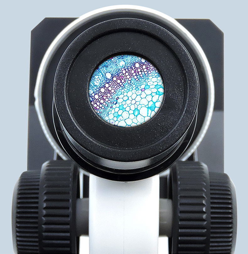 Kit de microscopio compuesto - Imagen 13