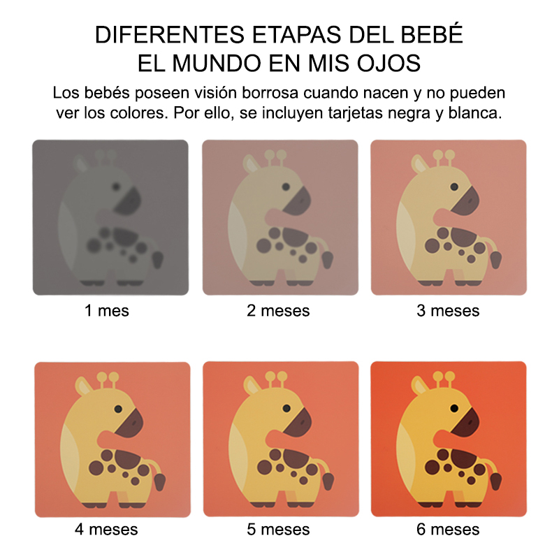 Tarjetas de estimulación visual de 6 a 12 meses - Imagen 11
